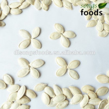 High Quality Japanese pumpkin seed